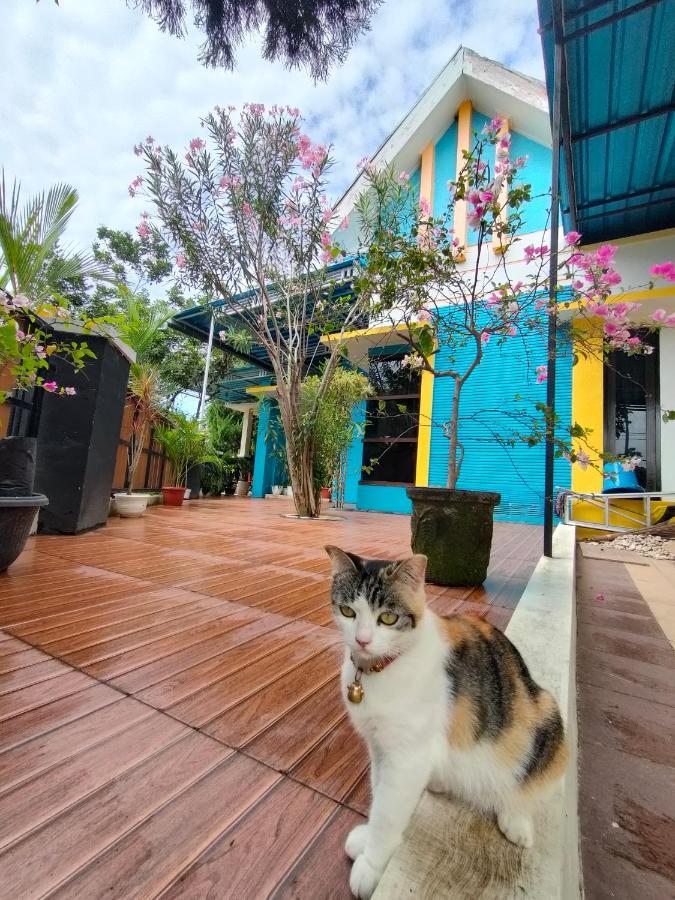 Omah Mendut Homestay Banyuwangi  Zewnętrze zdjęcie